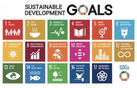 持続可能な開発目標（SDGs）推進円卓会議（第15回会合）の開催