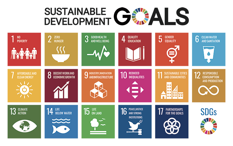 持続可能な開発目標（SDGs）推進円卓会議（第15回会合）の開催